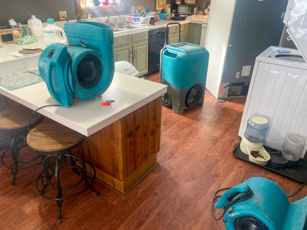 Best Water damage cleanup near me  in Highland Village, TX