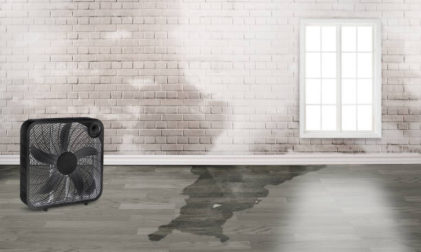 Best Flood damage cleanup  in Highland Village, TX
