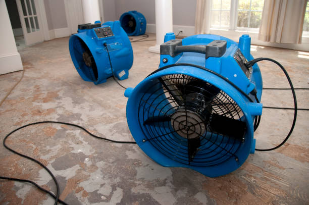 Best Water damage restoration near me  in Highland Village, TX