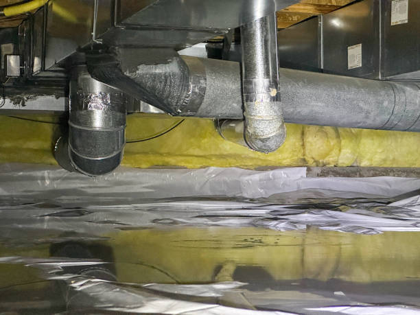 Best Professional water damage repair  in Highland Village, TX