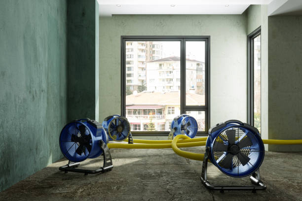 Best 24/7 water damage repair  in Highland Village, TX